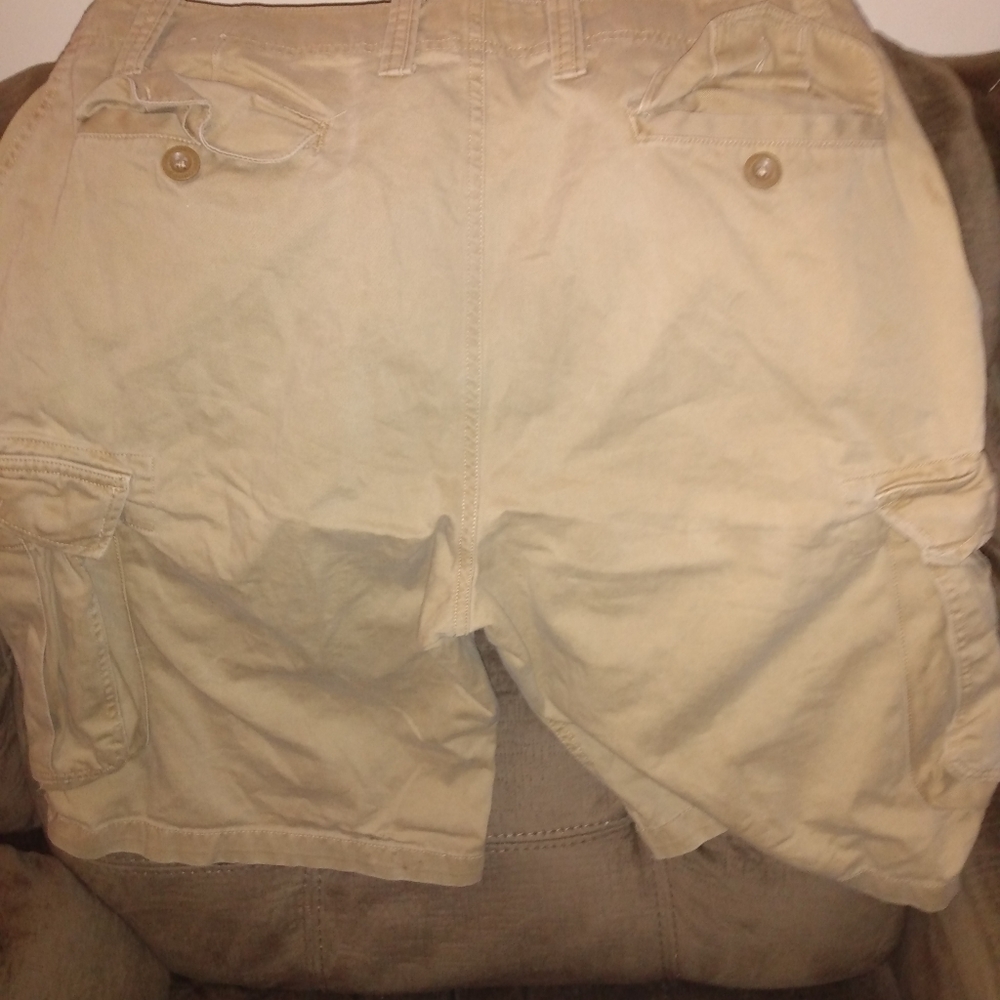 Arizona shorts
